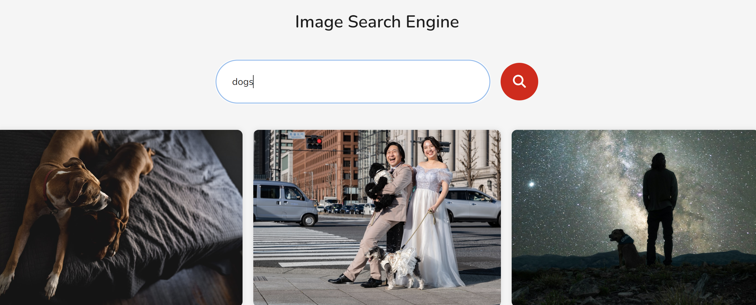 Image Search project thumbnail